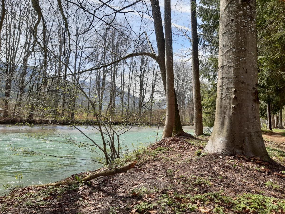 Campingfass Almtal Scharnstein المظهر الخارجي الصورة