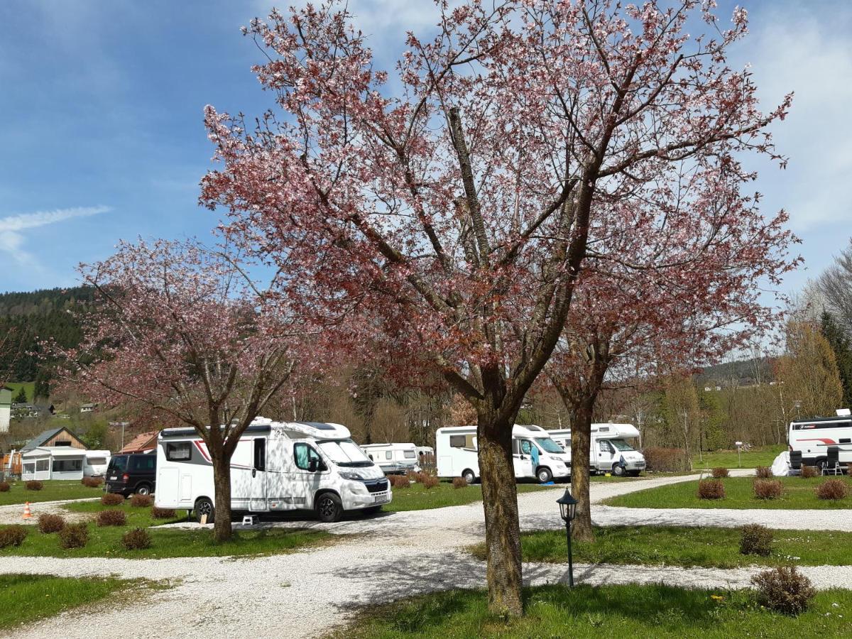 Campingfass Almtal Scharnstein المظهر الخارجي الصورة