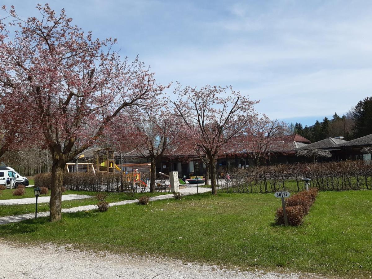 Campingfass Almtal Scharnstein المظهر الخارجي الصورة